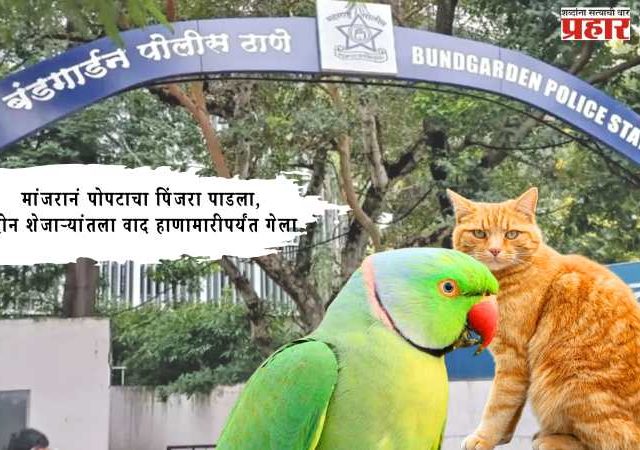 मांजरानं पोपटाचा पिंजरा पाडला, दोन शेजाऱ्यांतला वाद हाणामारीपर्यंत गेला
