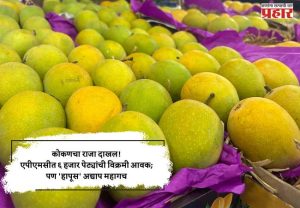 कोकणचा राजा दाखल! एपीएमसीत ६ हजार पेट्यांची विक्रमी आवक; पण 'हापूस' अद्याप महागच