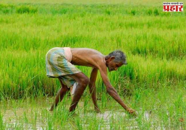 २४ लाख ७३ हजार थकबाकीदार शेतकऱ्यांच्या कर्जमाफीचा मार्ग मोकळा