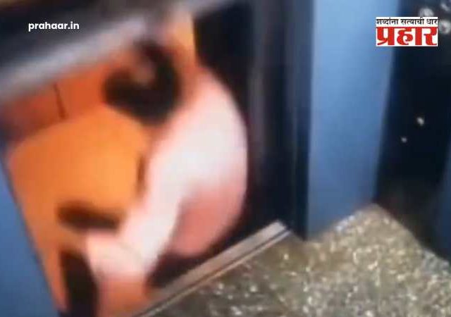 Gujrat Viral Video : काळ आला होता पण वेळ...गुजरातच्या वलसाडमधील लिफ्टचा भीषण अपघात; सीसीटीव्ही फुटेज व्हायरल