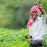 Maha Budget 2026 : बळीराजा सुखावला! पीक कर्ज थकीत असणाऱ्या पात्र शेतकऱ्यांना थेट दोन लाखांपर्यंत कर्जमाफी