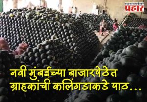 APMC Market : कलिंगड खाल्ल्याने मृत्यूच्या घटनेचा फटका; वाशी APMC मध्ये कलिंगड विक्री ठप्प! व्यापारी आणि शेतकरी चिंतेत