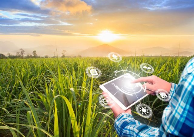 Agribusiness : राष्ट्रीय सुगी पश्चात तंत्रज्ञान संस्थेत ॲग्रीबिझनेस अभ्यासक्रम सुरू