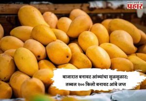 बाजारात बनावट आंब्यांचा सुळसुळाट; तब्बल २०० किलो बनावट आंबे जप्त
