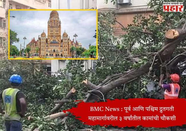 Trees in Mumbai : बाधित झाडांच्या बदल्यात पर्यायी झाडे लावताना मुंबईतच लागवड करा