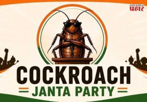 Cockroach Janata Party : ‘कॉकरोच जनता पार्टी’ला दिल्ली उच्च न्यायालयाचा दणका; सोशल मीडिया खाते पूर्ववत करण्याबाबत दिला मोठा निर्णय