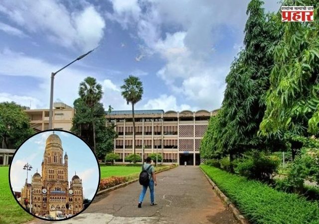 IIT Mumbai : आयआयटी मुंबईच्या परिसरात इमारत बाधकामांमध्ये बाधित २३७ झाडे कापली, तर ४०० झाडे केली पुनर्रोपित