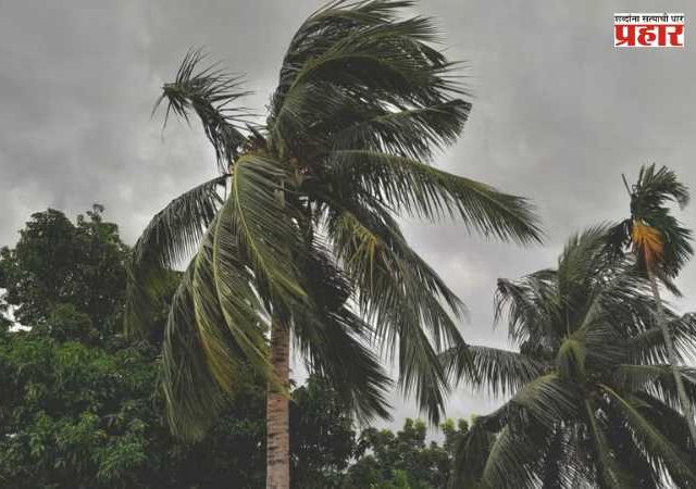 Monsoon Update : केरळमध्ये ५ दिवस आधीच मान्सूनची एन्ट्री; मुंबई-कोकणात मे महिन्याच्या अखेर पावसाच्या सरींचा अंदाज