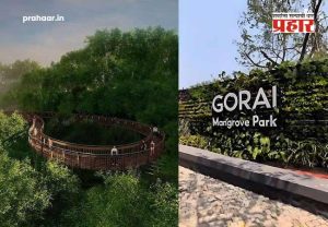 Mangrove Park in Gorai : गोराईत राज्याच्या पहिल्या 'कांदळवन पार्क'चे २८ मे रोजी उद्घाटन; निसर्गप्रेमींना मिळणार विरंगुळ्याचे नवे ठिकाण
