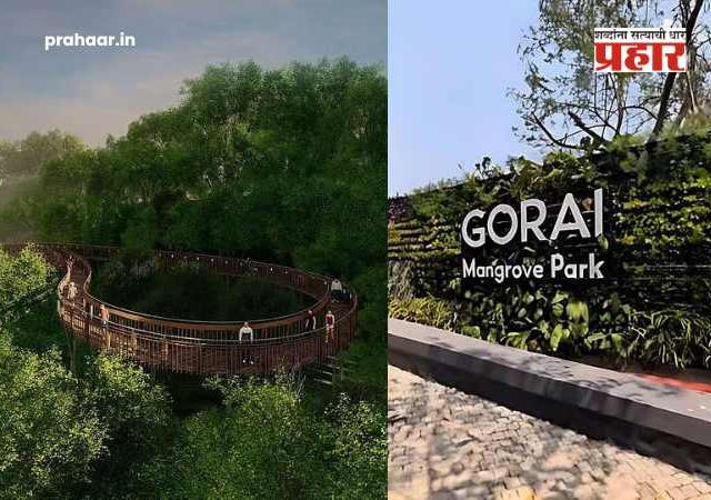 Mangrove Park in Gorai : गोराईत राज्याच्या पहिल्या 'कांदळवन पार्क'चे २८ मे रोजी उद्घाटन; निसर्गप्रेमींना मिळणार विरंगुळ्याचे नवे ठिकाण