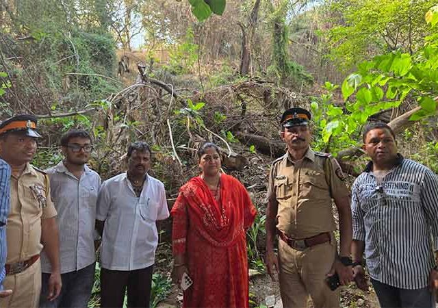 Marijuana Cultivation : भांडुप जलाशय टेकडीवर गांजाची शेती, भाजप नगरसेविकेने आणली निदर्शनास