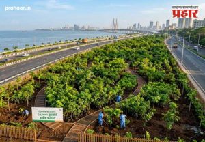 Mumbai Coastal Road : मुंबईचा समुद्रकिनारा नटणार हिरवाईने! कोस्टल रोड शेजारी ६० हजार झाडांची लागवड; रिलायन्स फाउंडेशन उभारणार 'अर्बन फॉरेस्ट'