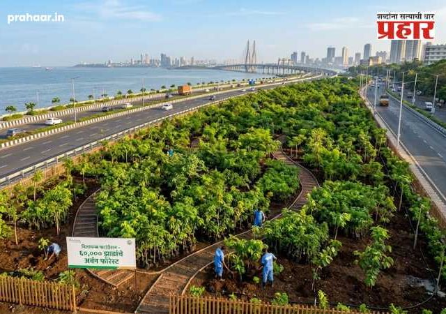 Mumbai Coastal Road : मुंबईचा समुद्रकिनारा नटणार हिरवाईने! कोस्टल रोड शेजारी ६० हजार झाडांची लागवड; रिलायन्स फाउंडेशन उभारणार 'अर्बन फॉरेस्ट'