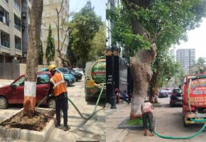 BMC ने मुंबईतल्या सार्वजनिक ठिकाणी असलेल्या झाडांसाठी सुरू केली कूलिंग ट्रीटमेंट