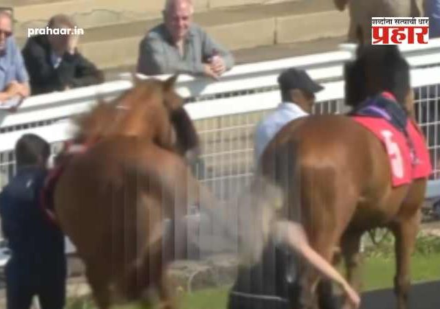 Redcar Racecourse Shocking Video : शॉकिंग व्हिडिओ! रेडकार रेसकोर्सवर घोड्याची महिलेला जीवघेणी लाथ; महिला थेट...