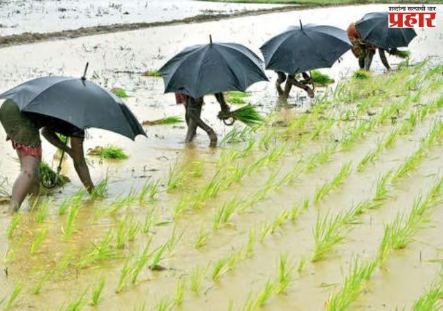 Rainy Season: यंदा पाऊस कमीच पडणार, हवामान विभागाच्या अंदाजामुळे शेतकरी चिंतेत
