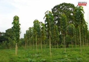 Farmer offers Rs 200 crore: ३० लाखांच्या दंडासाठी शेतकऱ्याची पुण्याच्या जिल्हाधिकाऱ्यांना २०० कोटींची ऑफर