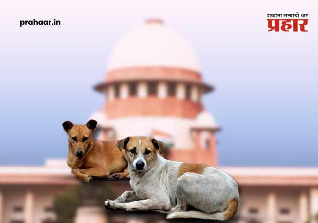 Stray Dog Menace : रस्त्यांवरील कुत्र्यांचा प्रश्न अखेर सुटणार ? नागरिकांची सुरक्षा की प्राण्यांचे हक्क, आज सर्वोच्च न्यायालयाच्या निकालाकडे देशाचे लक्ष
