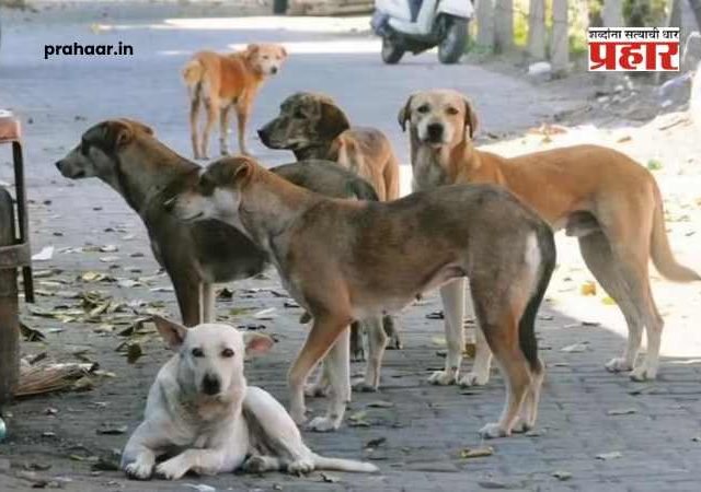 Stray Dogs : सर्वोच्च न्यायालयाचा मोठा निर्णय : शाळा आणि रुग्णालयांंजवळून भटके कुत्रे हटवण्याचे आदेश कायम
