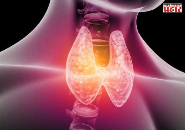Thyroid : थायरॉईडच्या समस्यांकडे दुर्लक्ष करू नका ; वेळीच लक्ष द्या !
