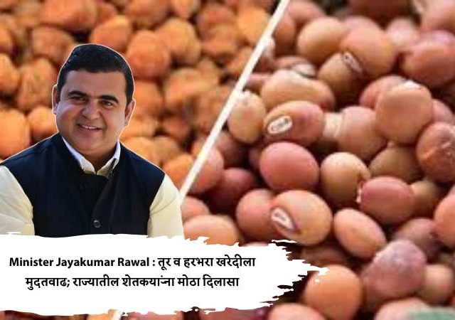 Minister Jayakumar Rawal : तूर व हरभरा खरेदीला मुदतवाढ; राज्यातील शेतकऱ्यांना मोठा दिलासा