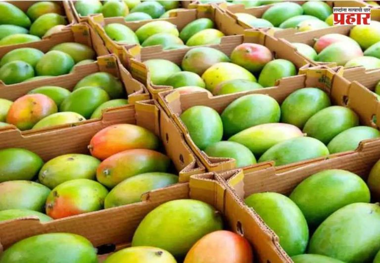 Mango Juice Caused Poisoned : 
