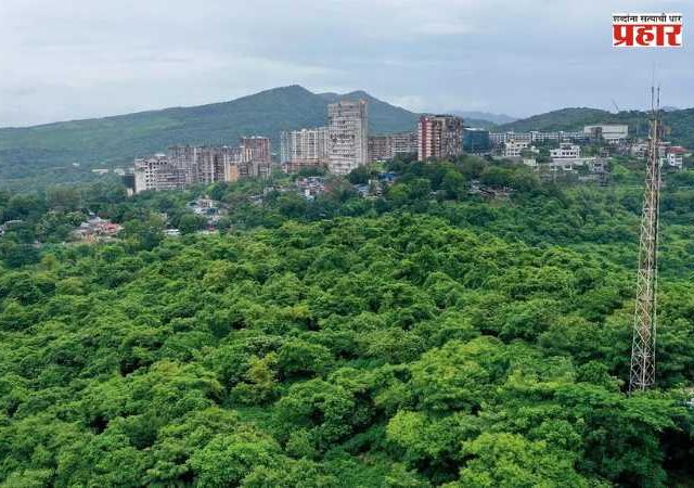 Aarey Colony : आरे परिसरात ८० एकर जागेत ५ लाख झाडे लावणार