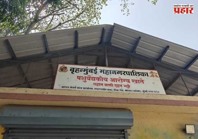 Animal cremation facility at Malad : मालाड येथील प्राणी दहन सुविधा ११ जुलै २०२६ पर्यंत तात्पुरती बंद