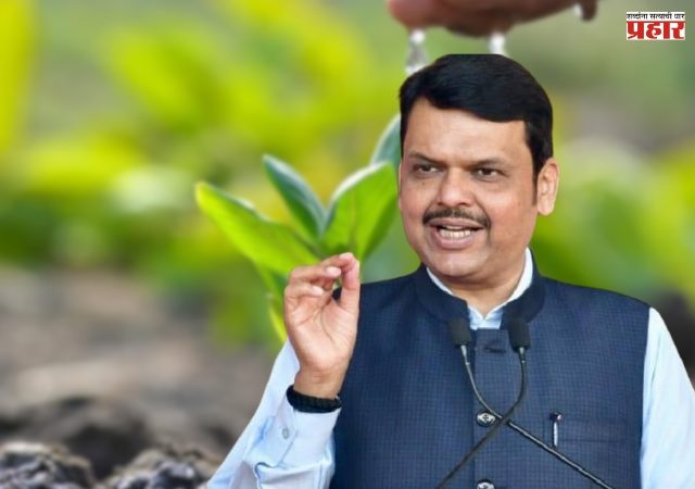 शेतकरी कर्जमाफी योजनेत आणखी २३ लाख शेतकरी पात्र, निकषांत सुधारणा करण्यास मंत्रिमंडळाची मंजुरी; नियमित कर्ज परतफेडीची अटही शिथिल