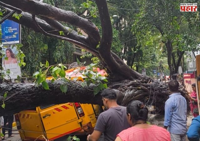 Chembur Bus Accident : चेंबूरमध्ये मोठी दुर्घटना; स्कूल बसवर झाड कोसळले