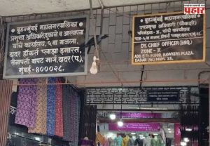 Hawkers Plaza Dadar : दादर हॉकर्स प्लाझामध्ये गाळे, तरीही क्यु आर कोडसाठी ठरणार लाभार्थी?