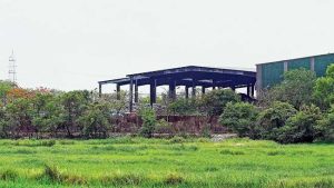 Kanjurmarg Dumping Ground : कांजूरमार्ग डम्पिंग ग्राऊंडवर साडेतीन हजार झाडांची लागवड