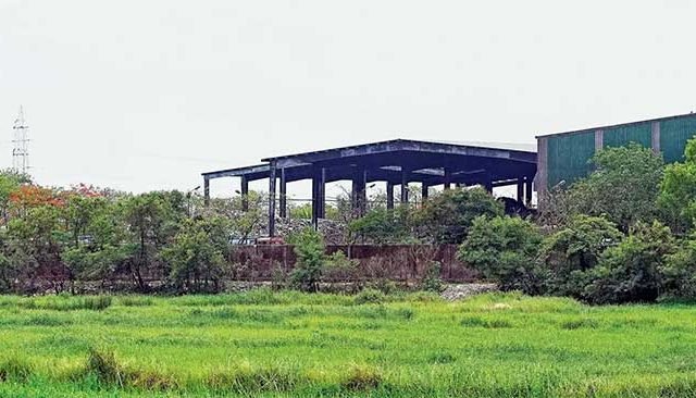 Kanjurmarg Dumping Ground : कांजूरमार्ग डम्पिंग ग्राऊंडवर साडेतीन हजार झाडांची लागवड