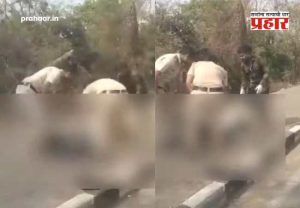 Navi Mumbai : नवी मुंबई हादरली! खारघरमध्ये महामार्गालगत महिलेचा मृतदेह संशयास्पद अवस्थेत आढळला; पोलिसांकडून कसून तपास सुरु