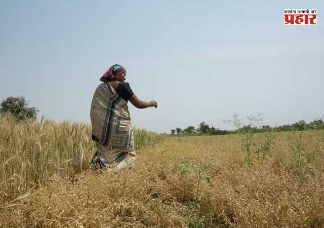Rajmata Jijau Women's Empowerment Scheme : फडणवीस सरकारचा मोठा निर्णय! आत्महत्याग्रस्त शेतकऱ्यांच्या विधवांना मिळणार केवळ १ रुपयात जमीन