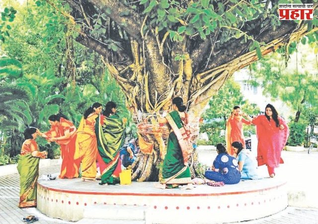 वटपौर्णिमा परंपरा, निसर्गसंवर्धन आणि स्त्रीशक्तीचा उत्सव