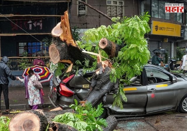 BMC News : बांधकामाच्या ठिकाणी असलेली झाडे वाचवणे संबंधित विकासकाची जबाबदारी