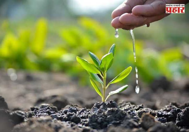 World Environment Day 2026 :  कांजूरमार्ग डम्पिंग ग्राउंड  येथे होणार १६ हजार वृक्षांची लागवड