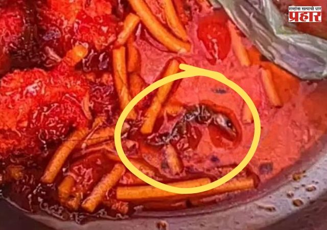 Ulhasnagar Lizard In Manchurian : उल्हासनगरात धक्कादायक प्रकार! मंचुरियनमध्ये पालीचे पिल्लू