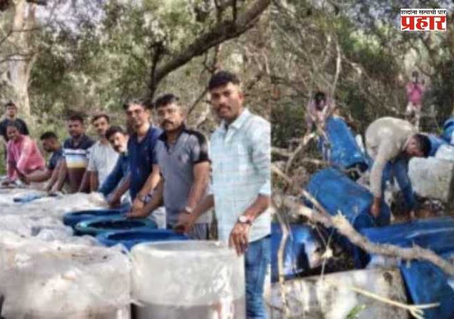 Illegal Liquor News : दारू माफियांना पोलिसांचा दणका! वसईत १६ लाखांहून अधिक किमतीचा मुद्देमाल नष्ट