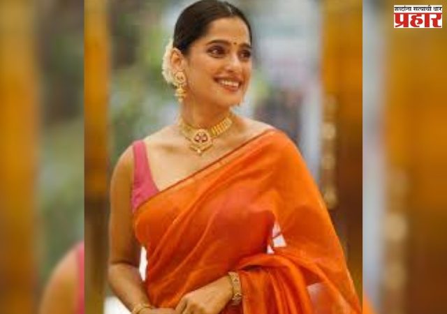 Priya Bapat : वारंवार मेसेज, जवळीक साधण्याचा प्रयत्न; प्रिया बापटने सांगितला धक्कादायक किस्सा