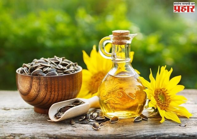 Rules For Edible Oil:  खाद्यतेल विक्रीचे नियम बदलणार! केंद्राचा मोठा निर्णय, आता फक्त ९ पॅक साइजमध्येच मिळणार तेल