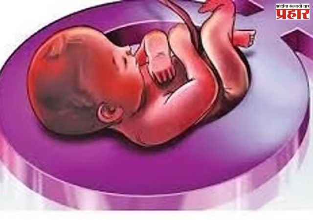 Pune Crime : पुण्यात गर्भलिंग निदान रॅकेटचा भंडाफोड; चिनी ॲपच्या माध्यमातून सुरू होता काळा धंदा