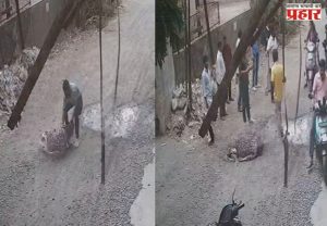 Palghar Crime : पालघरमध्ये भररस्त्यात तरुणीवर कोयत्याने जीवघेणा हल्ला; CCTV व्हायरल, प्रकृती चिंताजनक