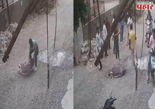 Palghar Crime : पालघरमध्ये भररस्त्यात तरुणीवर कोयत्याने जीवघेणा हल्ला; CCTV व्हायरल, प्रकृती चिंताजनक