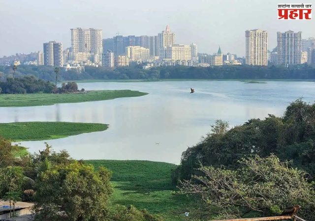 Powai Lake : पवई तलाव परिसराचा तब्बल १८ वर्षांनी होणार पुनर्विकास