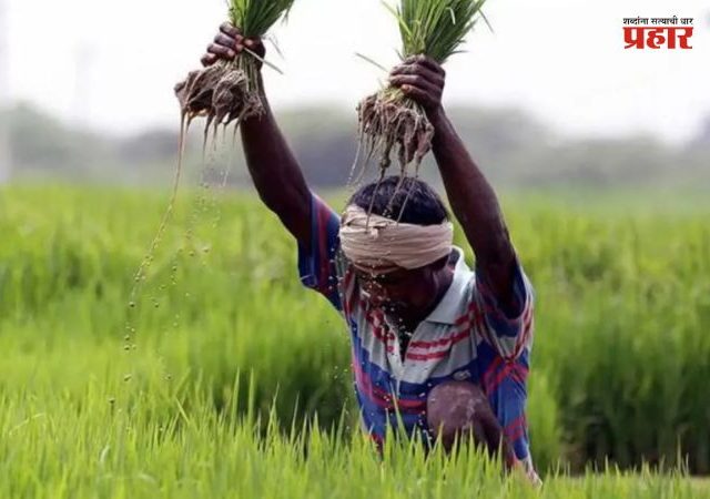 Maharashtra Farmers : जुलैच्या दुसऱ्या आठवड्यापासून शेतकऱ्यांना कर्जमुक्तीचा लाभ