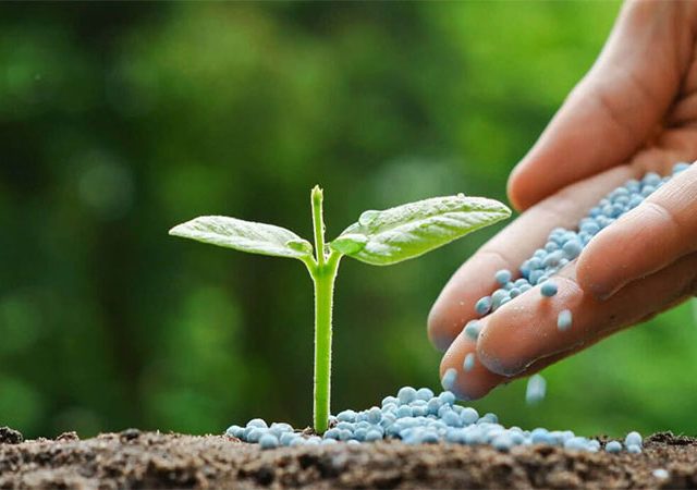fertilizers stock : खरीप २०२६ हंगामासाठी देशात खतांचा पुरेसा साठा