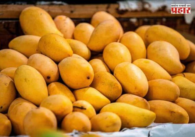 Indian Mango : नेपाळने भारतीय आंब्यावर बंदी घातली? केंद्र सरकारचा मोठा खुलासा; अफवांवर विश्वास ठेवू नका