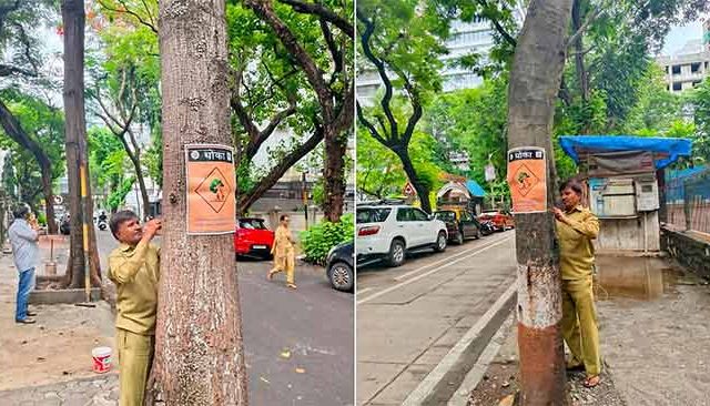 What to do During Rainy Season : पावसात झाडांखाली थांबू नका, वाहने उभी करू नका, BMC चे नागरिकांना आवाहन